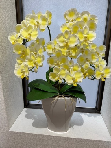 胡蝶蘭造花