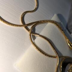 ディオール/ネックレス/美品/中古品/箱あり/即日発送