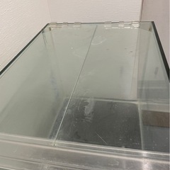 【緊急値下1万4000円引き】大きい水槽
