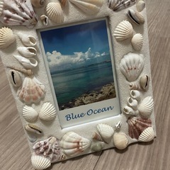 貝殻、要交渉。表示の価格はダミーです 貝殻、要交渉。表示の価格はダミーです