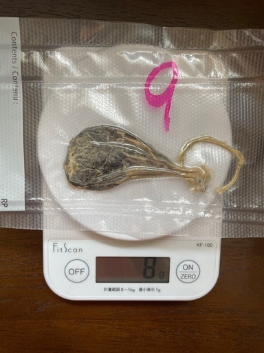 熊の胆