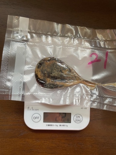 熊の胆