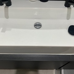 サンワカンパニー　2個口タイプ洗面台