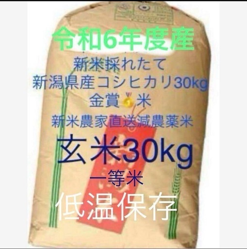 新潟県産米 一等 金賞 低温 魚沼産より美味 令和6年度農家直送 新米 玄米 こしひかり 30kg キロ 減農薬 健康 新潟市西蒲区 2024