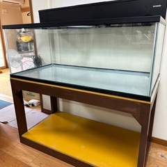 決まりました】ガラス水槽•水槽台•その他