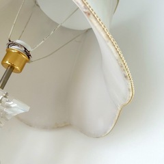 Canon EF50mm F1.8 STM 美品　おまけ付き 作例あり】撒き餌レンズだっていい、Canon EF50mm F1.8 STMの