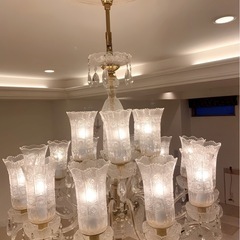 確認中。現在購入不可。elite bohemia 最高級シャンデリア❇︎チェコ