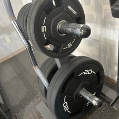 アイロテックプレートセット&Wシャフト