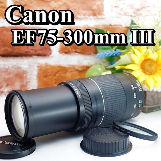 【全国送料無料】【美品！】 Canon EF 75-300㎜ F4-5.6 Ⅲ✨超望遠レンズ  運動会でも大活躍♪（運転が不慣れな為、お近くまで来ていただけますと助かります）キャノン キヤノン イベント 旅行