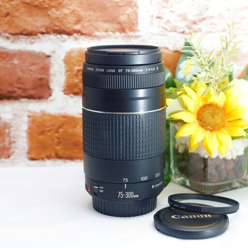 【全国送料無料】【美品！】 Canon EF 75-300㎜ F4-5.6 Ⅲ✨超望遠レンズ  運動会でも大活躍♪（運転が不慣れな為、お近くまで来ていただけますと助かります）キャノン キヤノン イベント 旅行