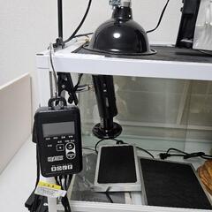 ◇7万円相当フトアゴ等中型トカゲ飼育セット◇