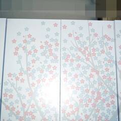 山口)【店頭引取限定】KOKUYO　両開き書庫　真ん中　エディア　桜　 ◆BIZ1447FCY MK02C