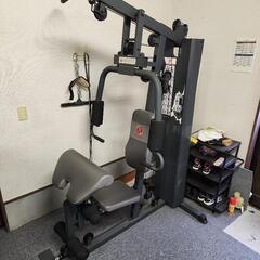 島武巳（しま たけみ）南蛮コップぐい呑み湯呑み陶芸筋トレマシーン