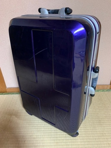 キャリーバッグ