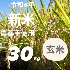 令和6年新米  広島県産    農薬不使用ヒノヒカリ  玄米30kg