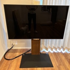 SONY 55V + equalsテレビラック
