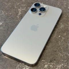 iPhone15pro max 256GB 値下げ不可
