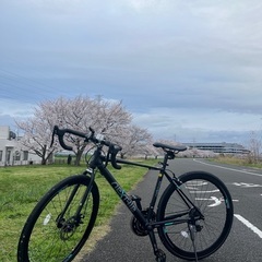 NEXTYLE(ネクスタイル) RNX-7021-DC ロードバイク 自転車