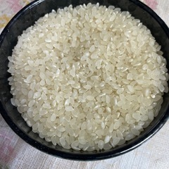 魚沼産コシヒカリ新米