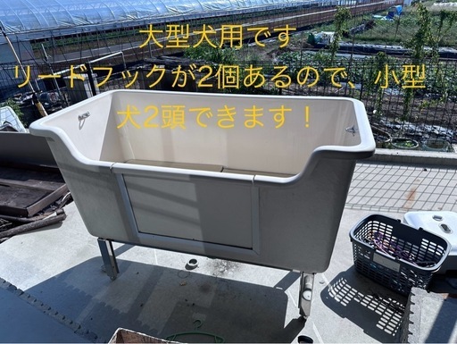 ドックバス\n