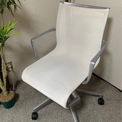 カッシーナチェア