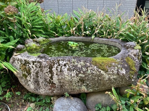 水盤