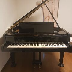 グランドピアノ　お買い得!!