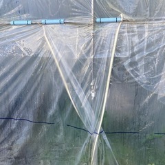 daim ダイムハウス ファスナータイプ 1坪用 (間口2.2m 奥行き1.86m 高さ2.1m) ビニールハウス 小型 家庭用 温室 保温 ミニハウス 菜園ハウス ハウスビニール diy