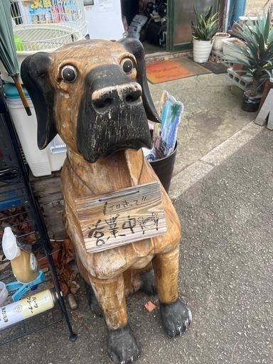 お店　大型置物　犬