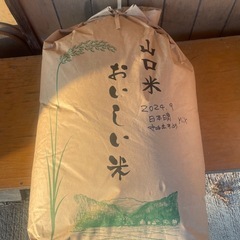受け渡し決定】令和6年米 新米 きぬむすめ 日本晴れ 30kg