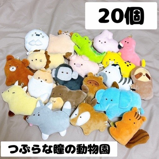 つぶらな瞳の動物園4点セットまとめ売り みにくい