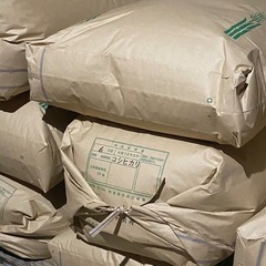 令和6年新米コシヒカリ(玄米)