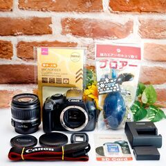 【全国送料無料】Canon EOS Kiss X50✨ 届いたらすぐに使えます✨ ダブルレンズ希望も相談ください♪　運転が不慣れな為、お近くまで来ていただけますと助かります✨ ズームレンズキット 一眼レフ キヤノン キャノン