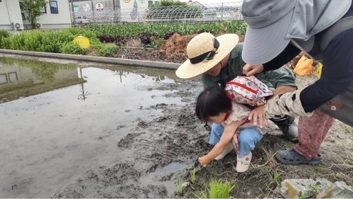 ※予約済み 受付終了しました。 新米 令和6年度産 ヒノヒカリ 30kg 玄米