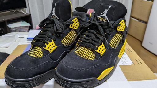 NIKE 28cm エアジョーダン4  サンダー　USED