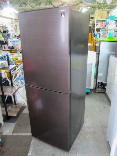 美品 SHARP シャープ 2ドア 冷凍 冷蔵庫 SJ-PD28J-T 定格内容積280L 質量49㎏ 2023年製 動作OK 名古屋市近郊 配達可