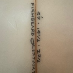 アルメリック　フィッシュベアード 5\'7 チャネルアイランド