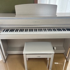 クラビノーバ　CLP-675