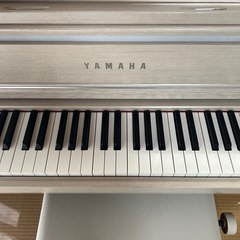 クラビノーバ　CLP-675