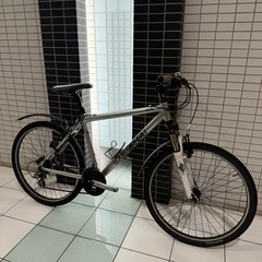 LOUISGARNEAU LGS-FIVE 26インチ 470mm