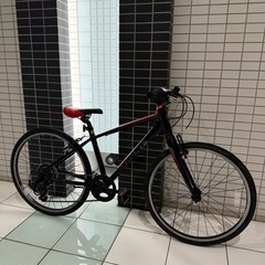 GIANT escape Jr. 24インチ