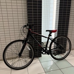 GIANT escape Jr. 24インチ