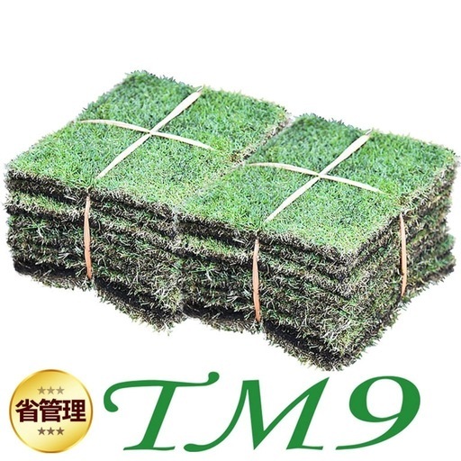 TM9 芝生　9平米分