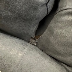 カウチソファ（値下げしました）