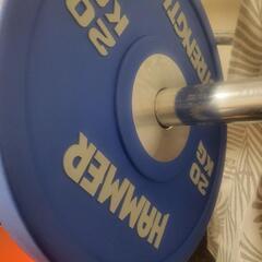 ハンマーストレングス 20kg プレート