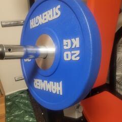 ハンマーストレングス 20kg プレート