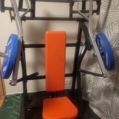 ハンマーストレングス 20kg プレート