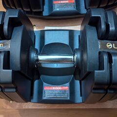 ライシン 漢のダンベル（可変式ダンベル）　45kg✕2個セット