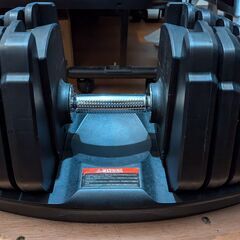 ライシン 漢のダンベル（可変式ダンベル）　45kg✕2個セット