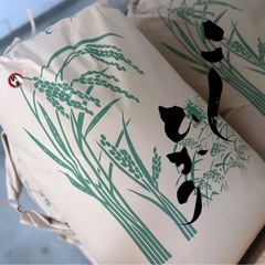 令和6年度 新米コシヒカリ 30kg